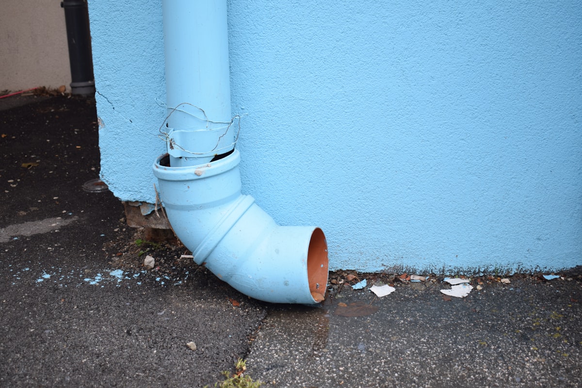 Mold Remediation service in Mount Vernon, NY
