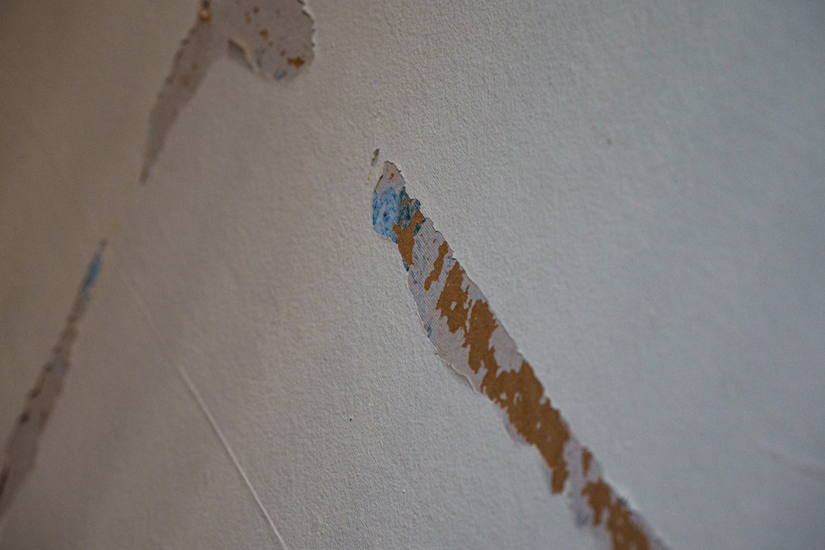 Storm Damage Repair service in Mount Vernon, NY