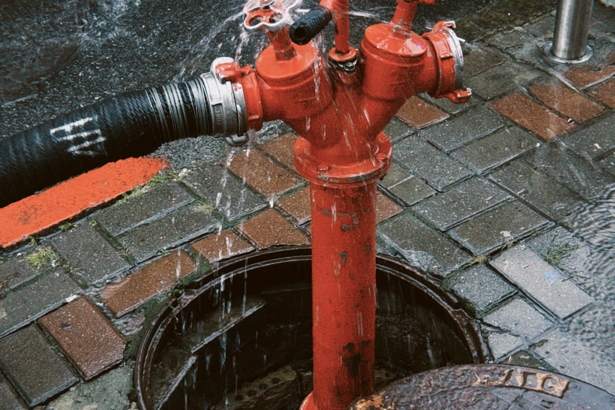 Water Extraction service in Mount Vernon, NY